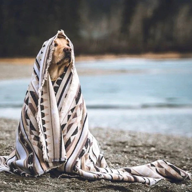 A dog on a beach with a Modest Maverick blanket draped over them.