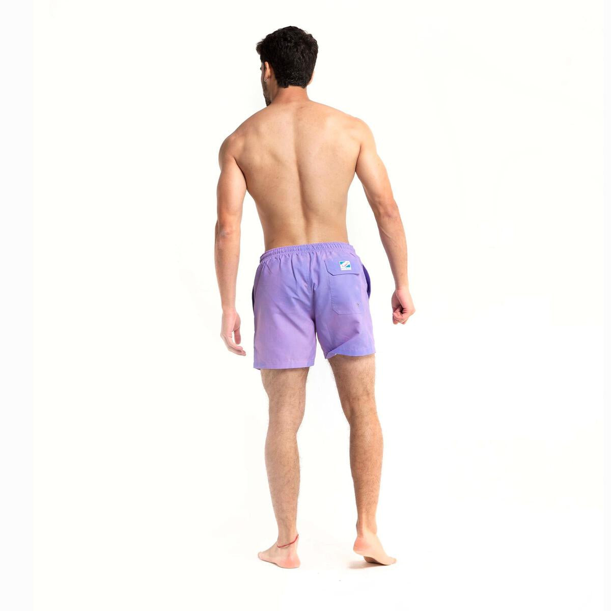 Bermies | Switch to Purple Mens Swimsuit